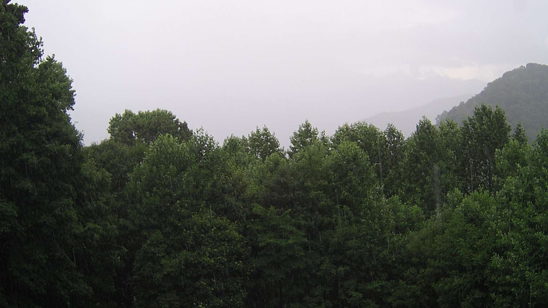 click for next image... slideshow image