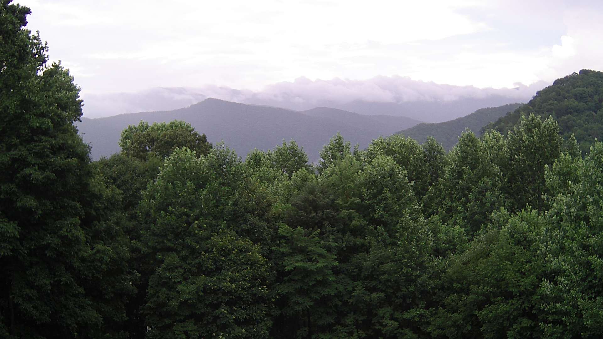 click for next image... slideshow image
