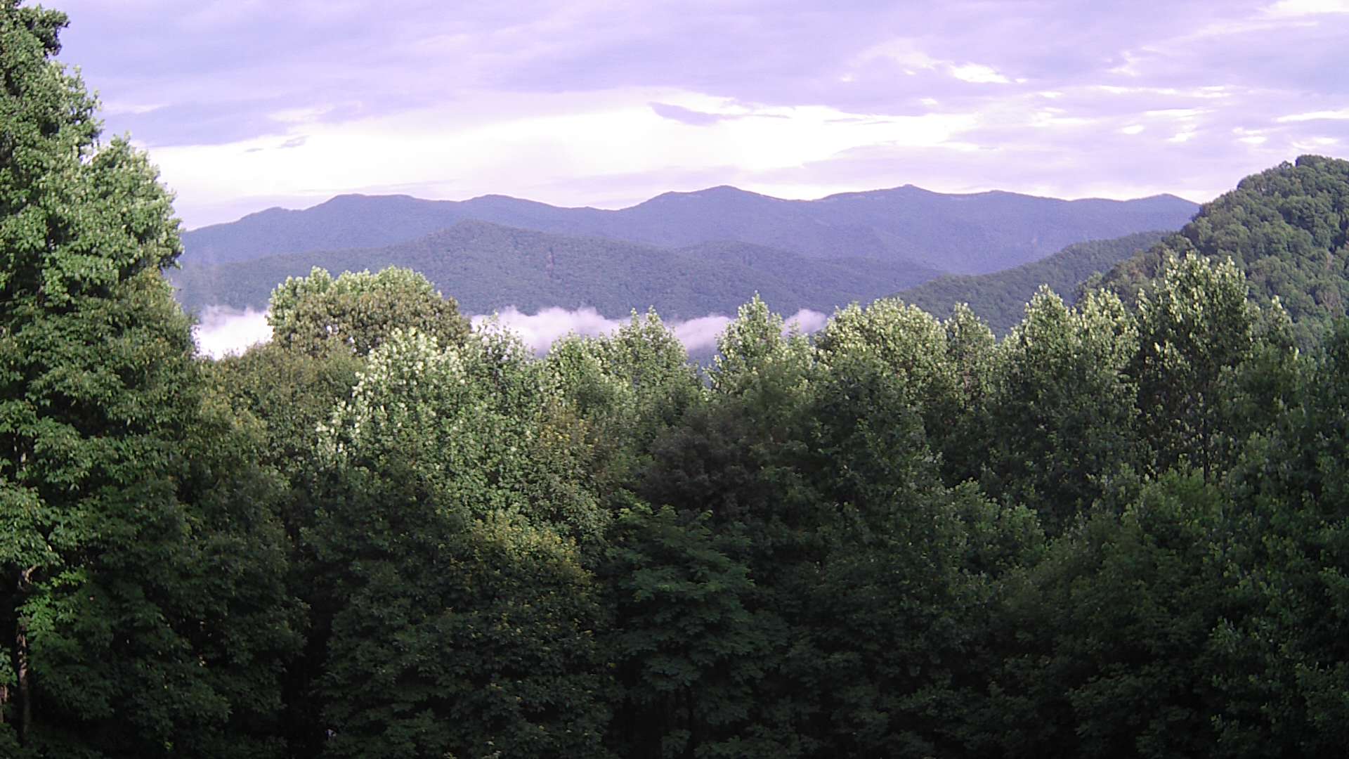 click for next image... slideshow image