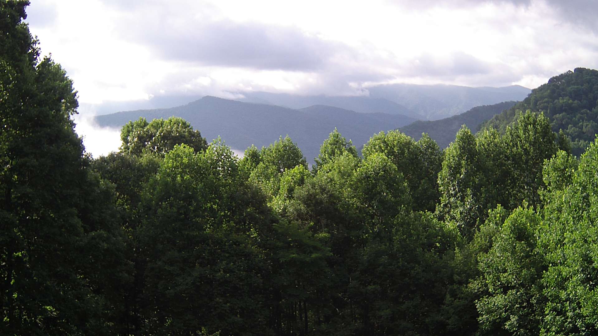 click for next image... slideshow image