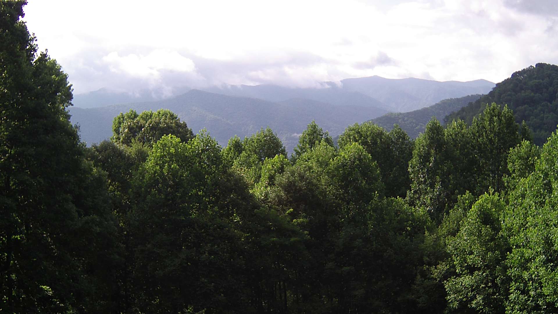 click for next image... slideshow image