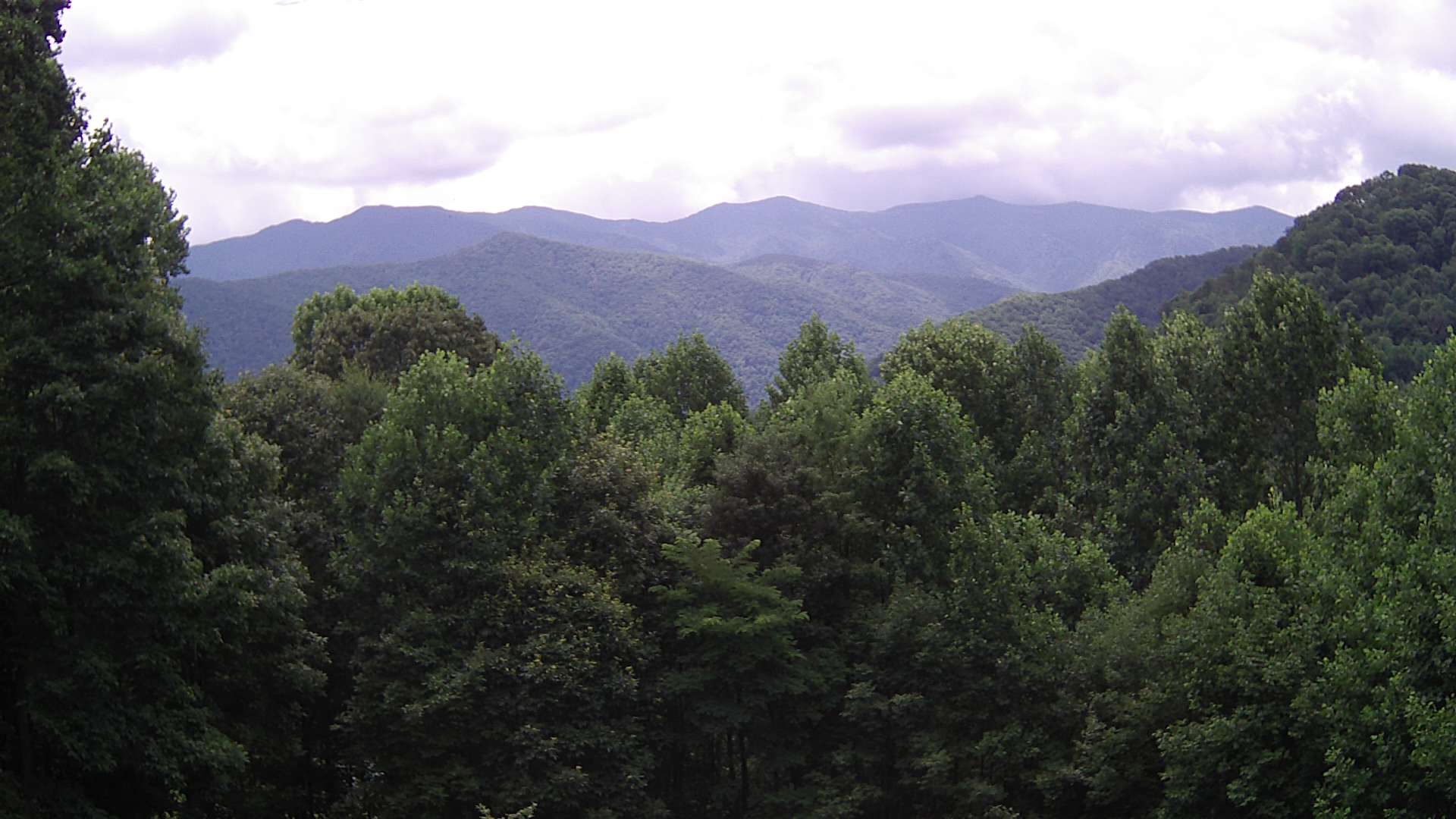 click for next image... slideshow image
