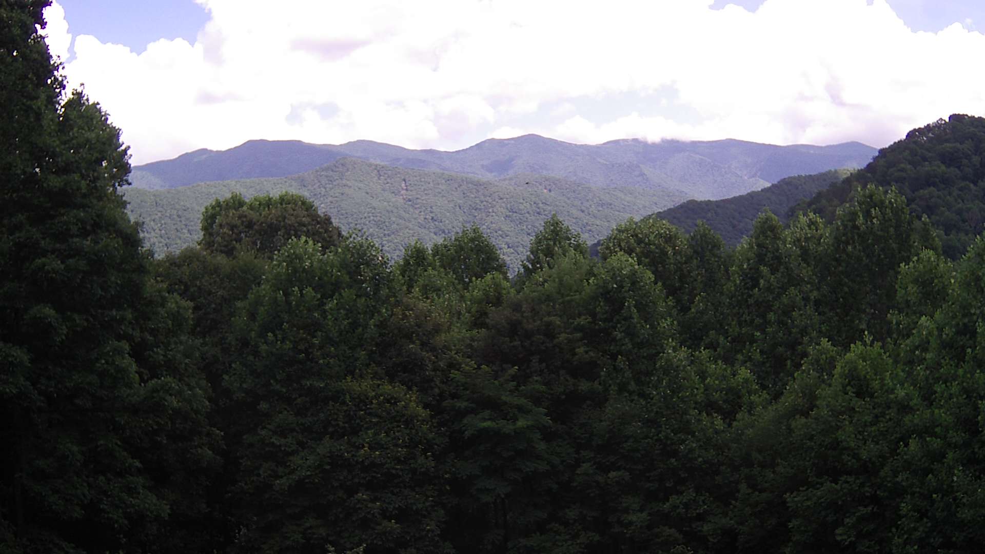 click for next image... slideshow image