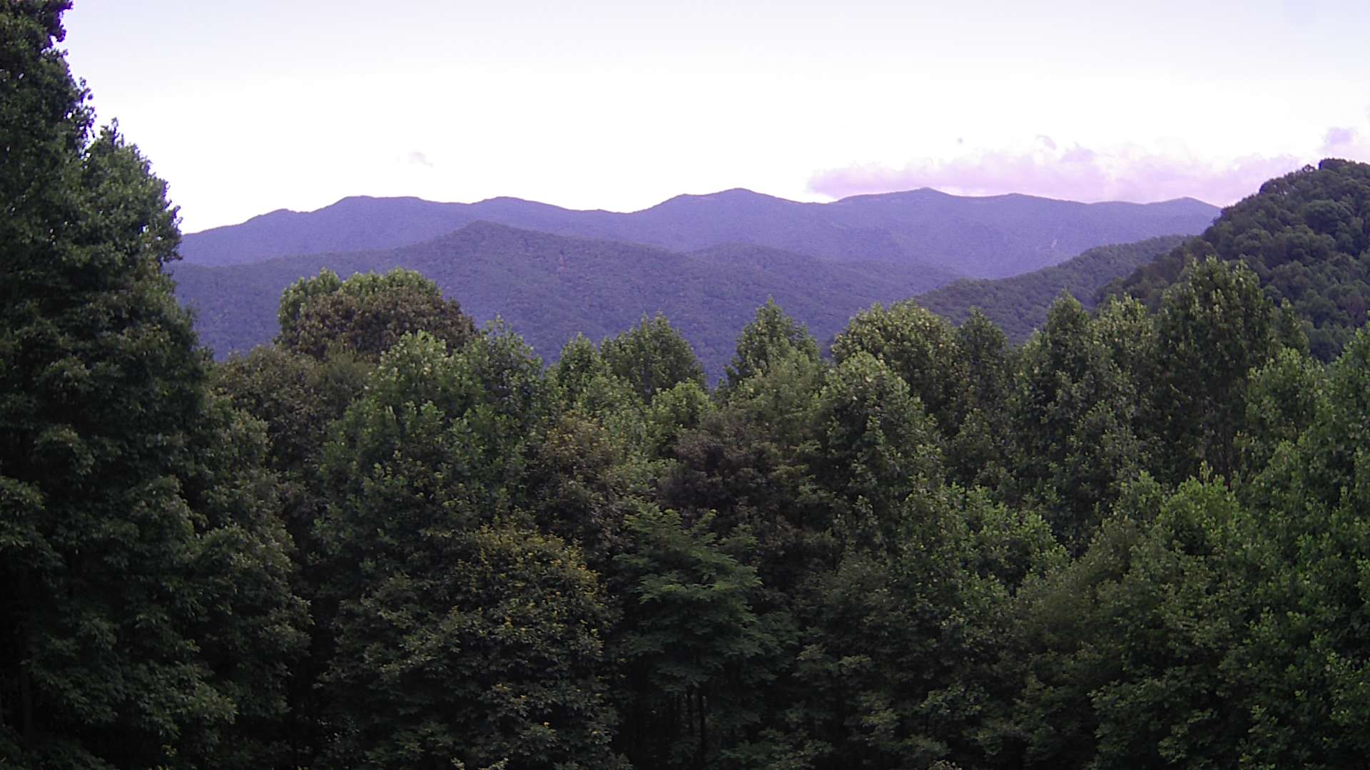click for next image... slideshow image