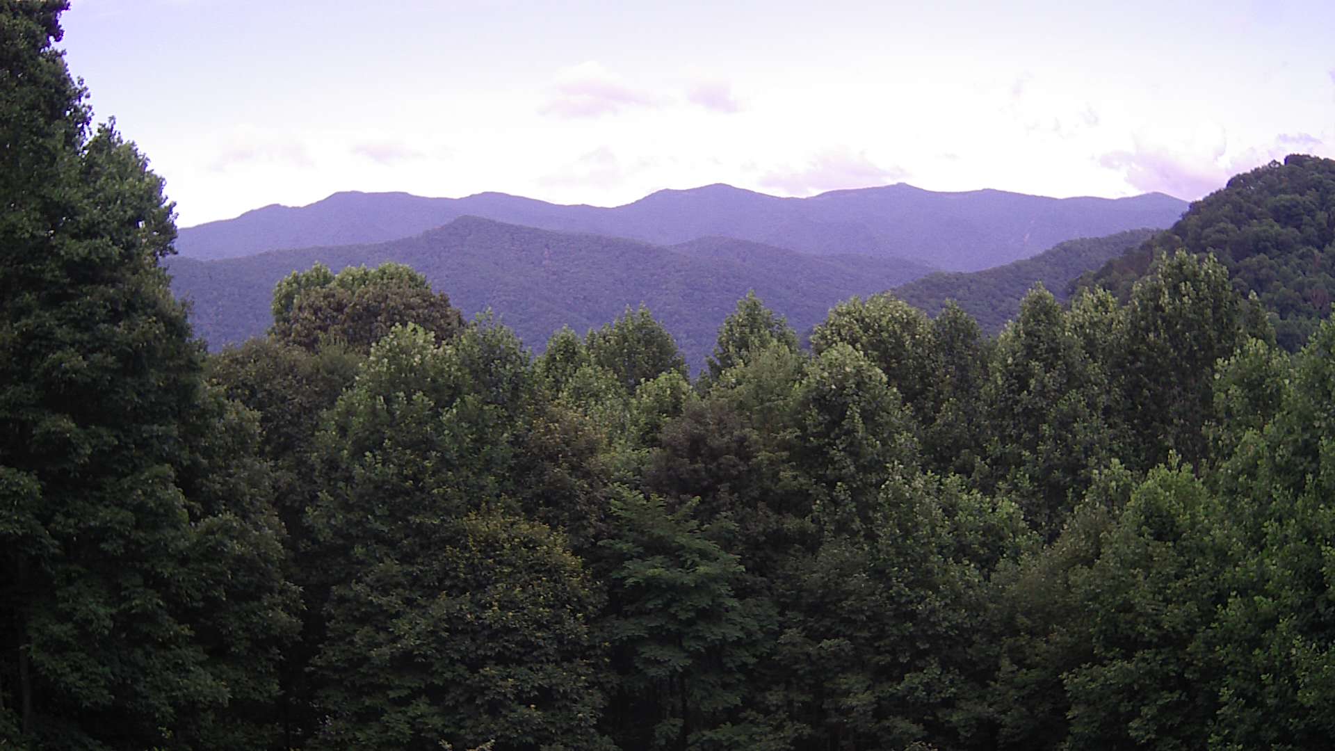 click for next image... slideshow image