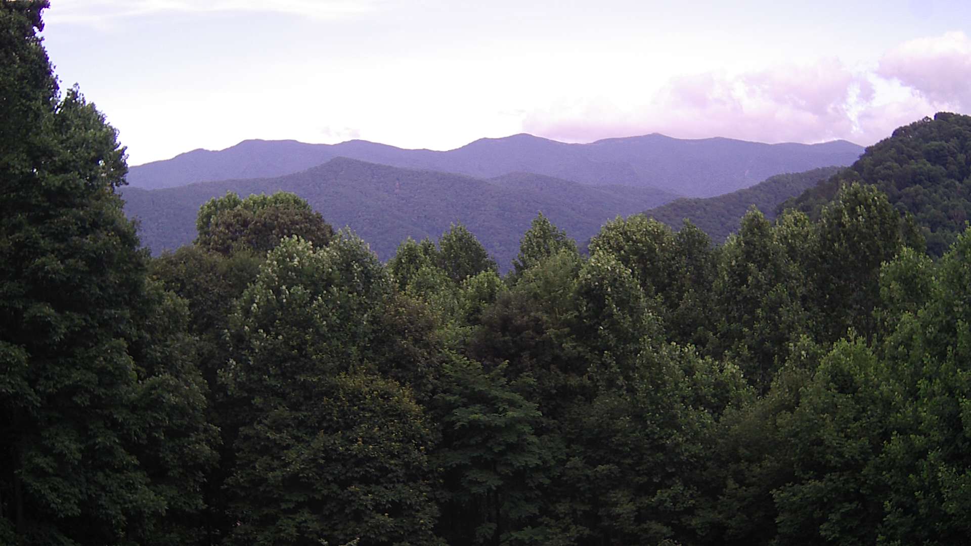 click for next image... slideshow image