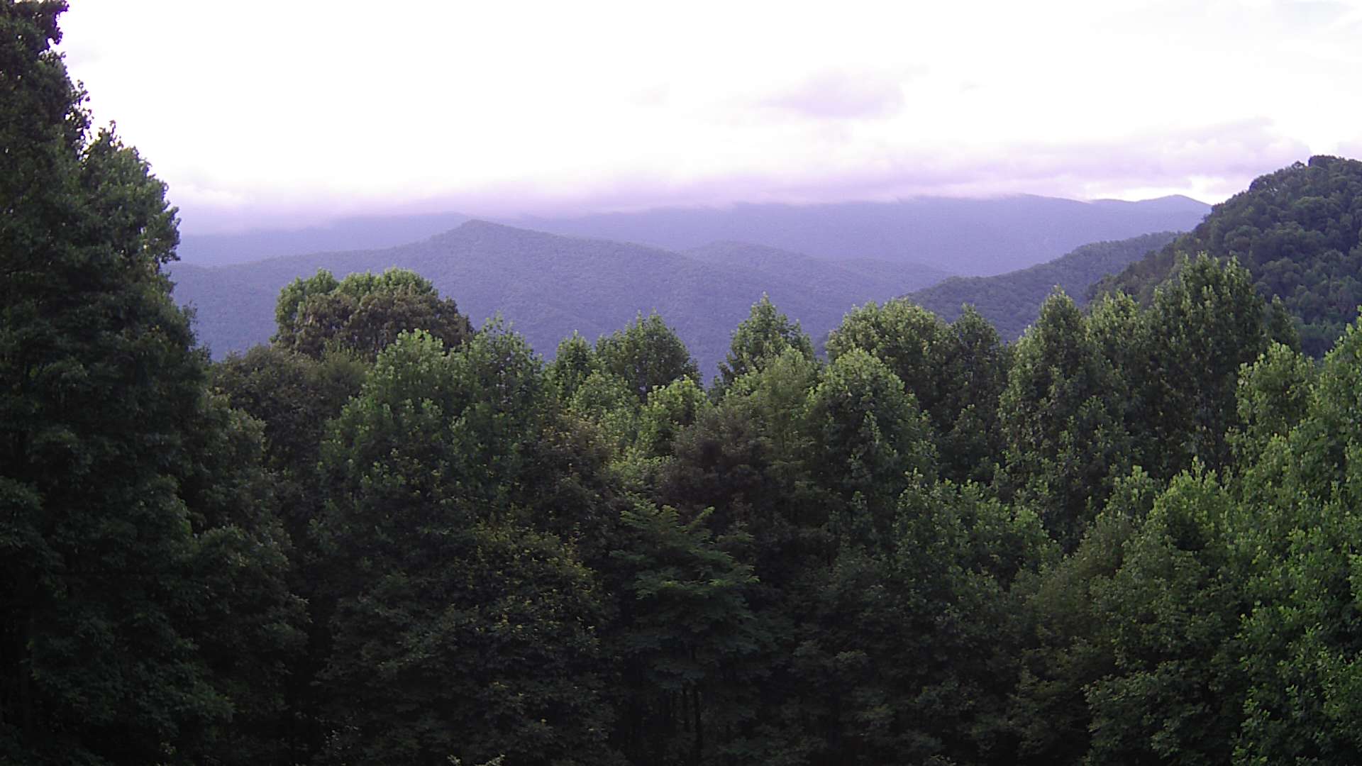 click for next image... slideshow image
