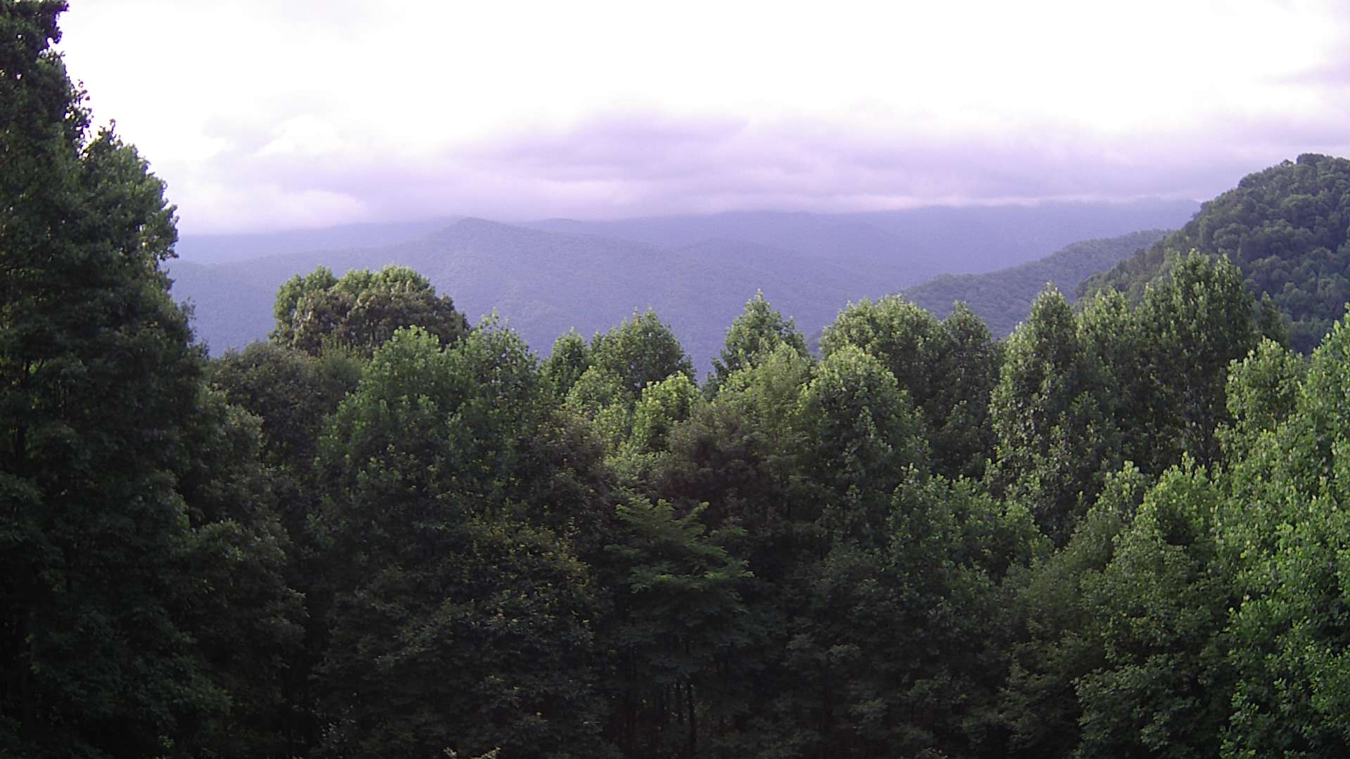 click for next image... slideshow image