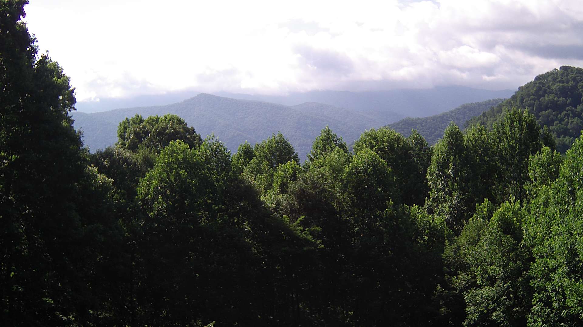 click for next image... slideshow image