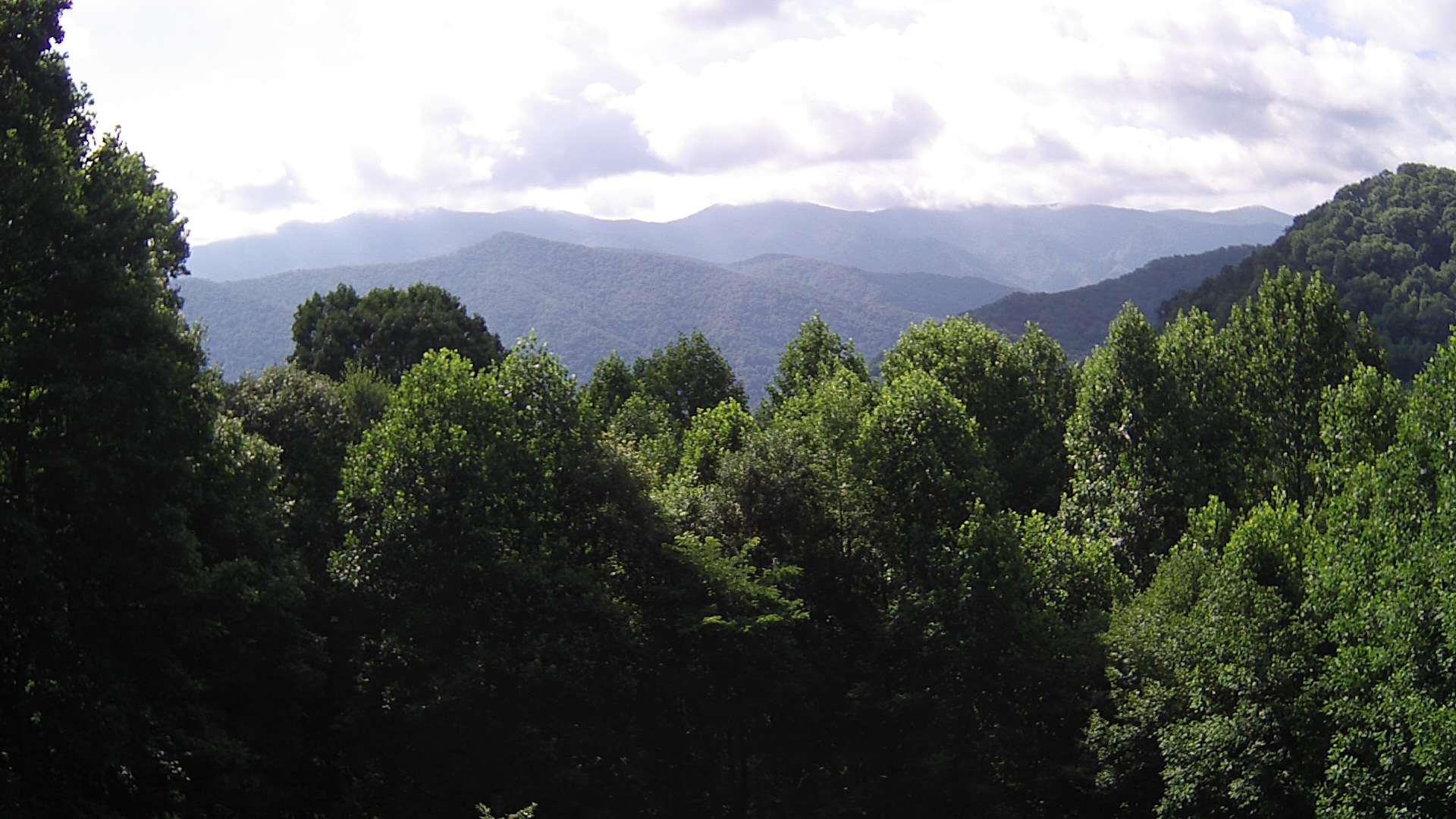 click for next image... slideshow image
