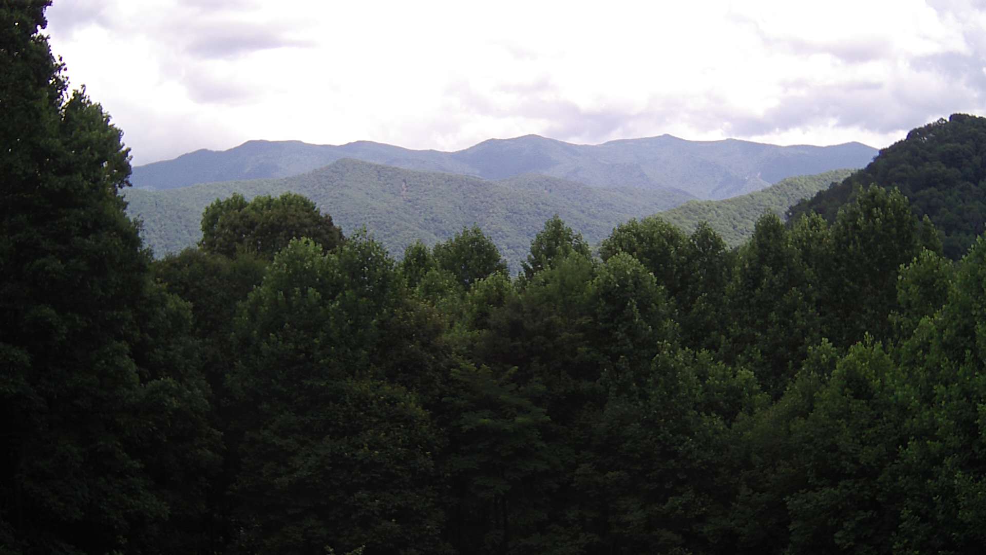 click for next image... slideshow image