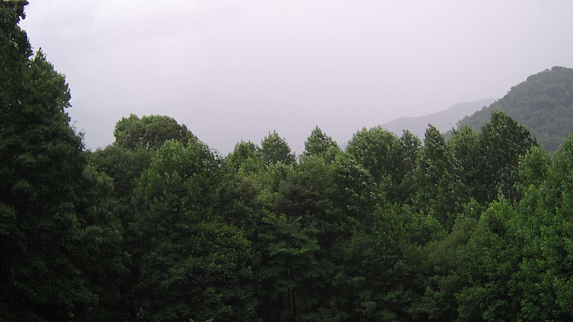 click for next image... slideshow image