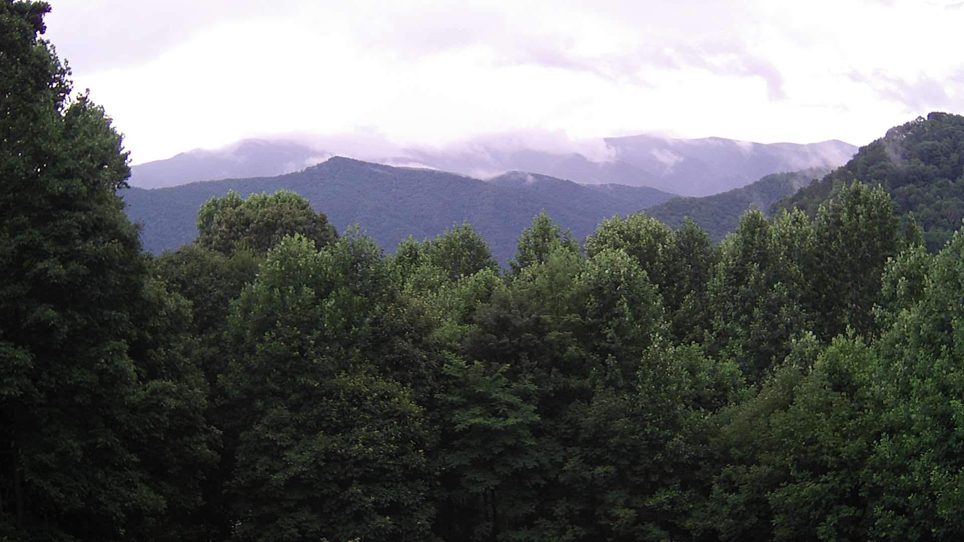 click for next image... slideshow image