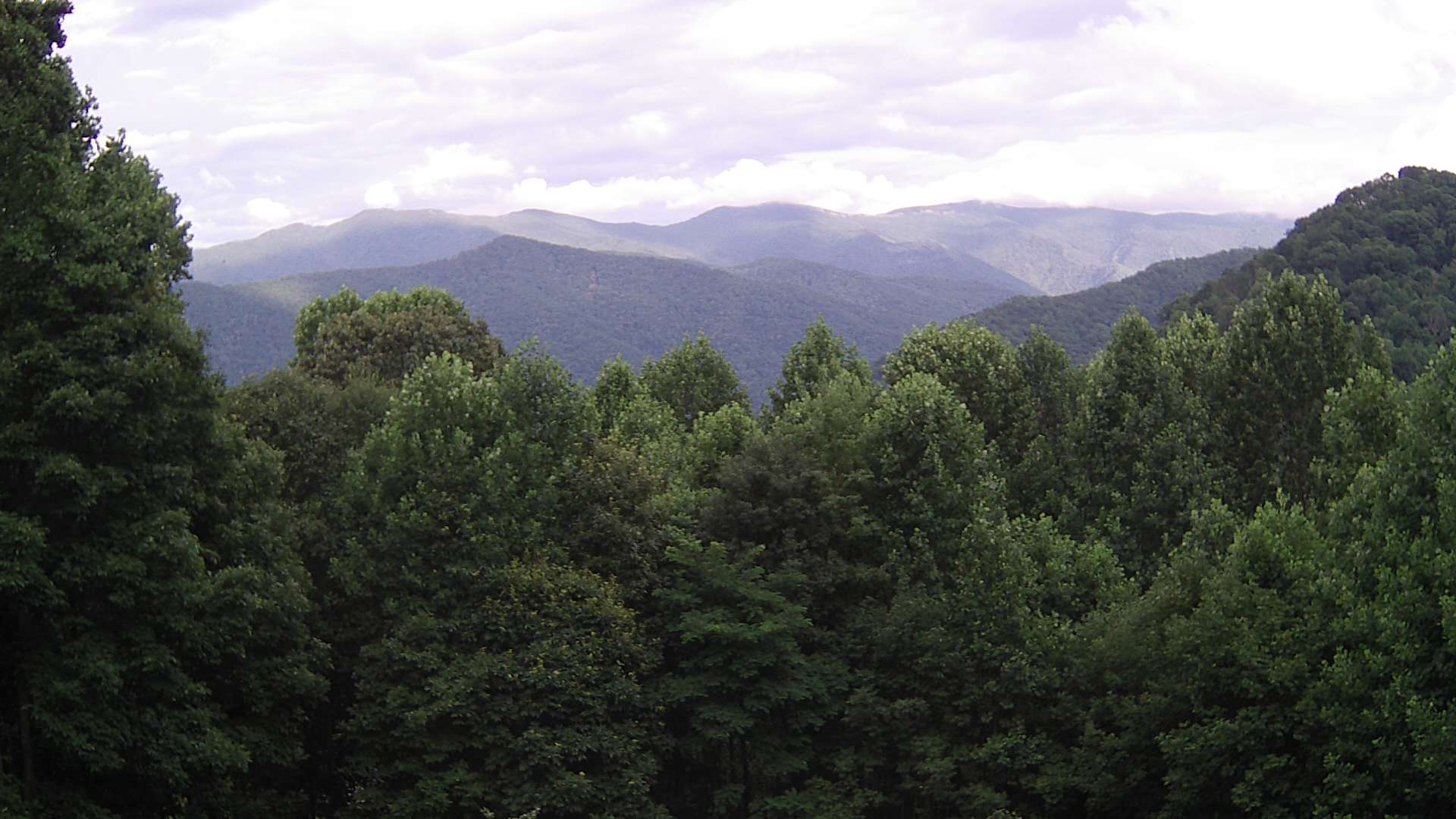 click for next image... slideshow image