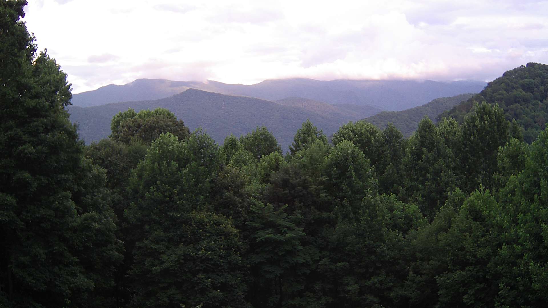 click for next image... slideshow image
