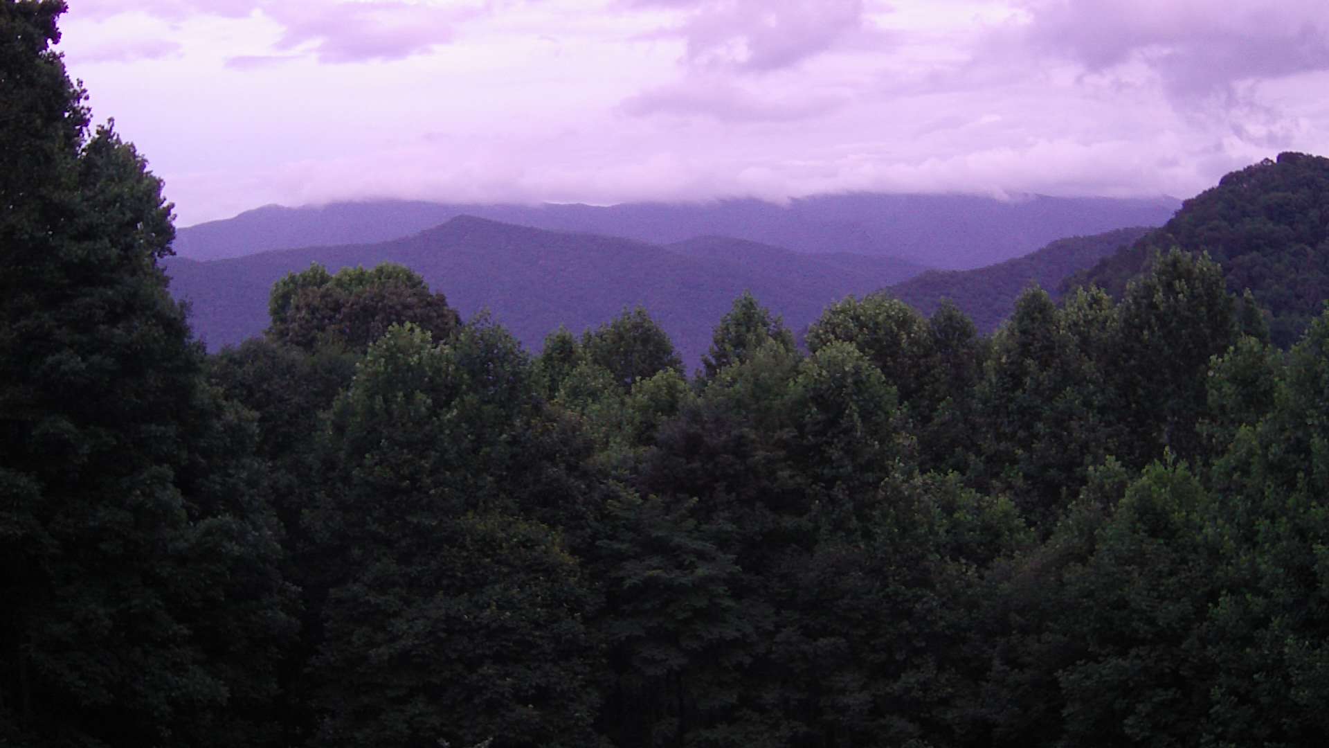 click for next image... slideshow image