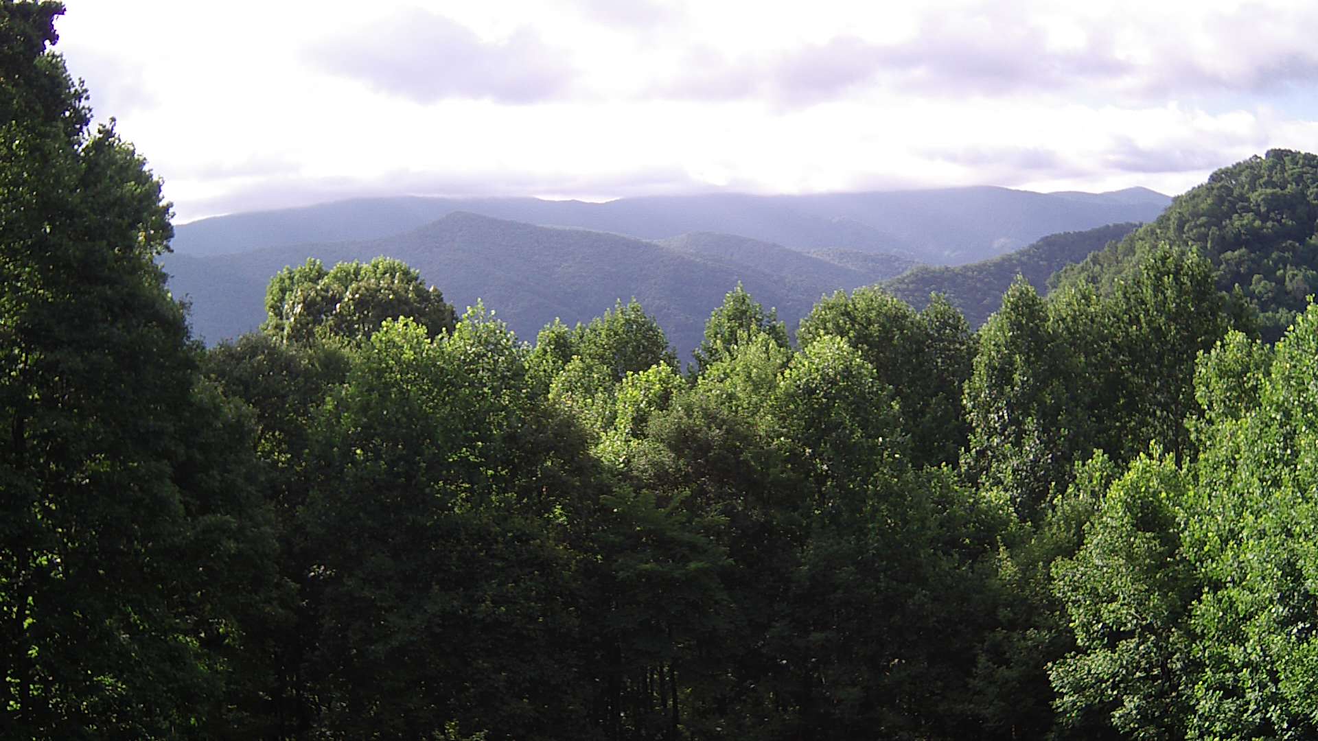 click for next image... slideshow image