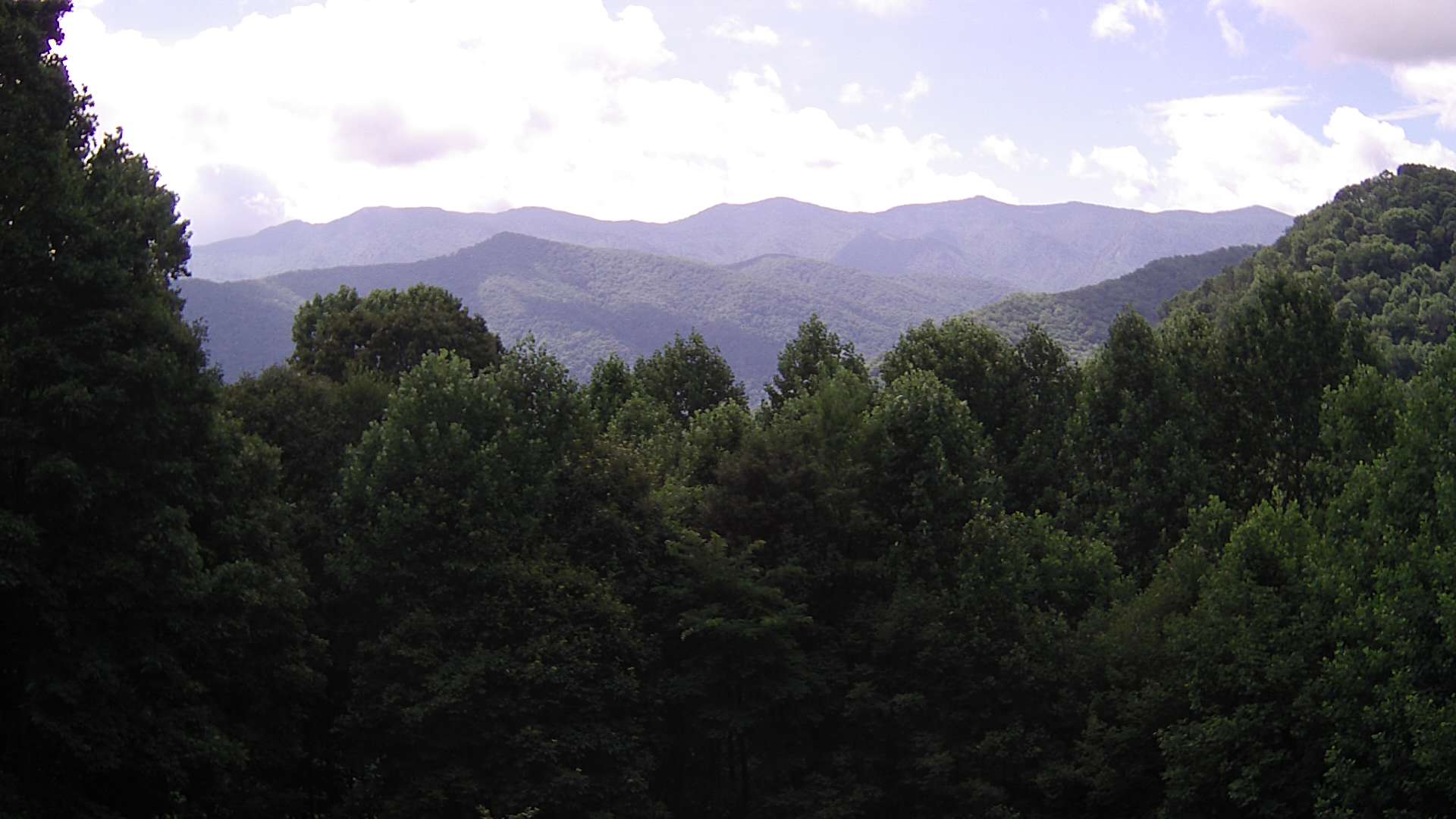 click for next image... slideshow image