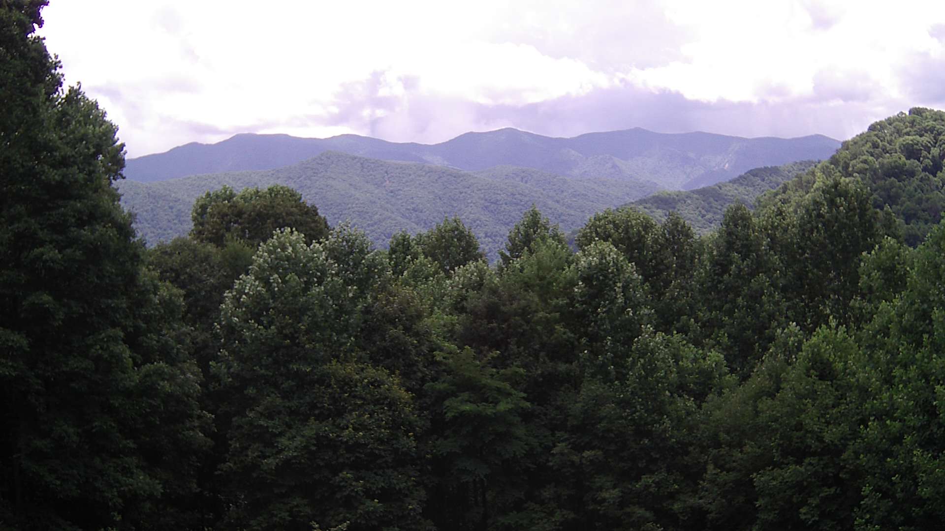 click for next image... slideshow image