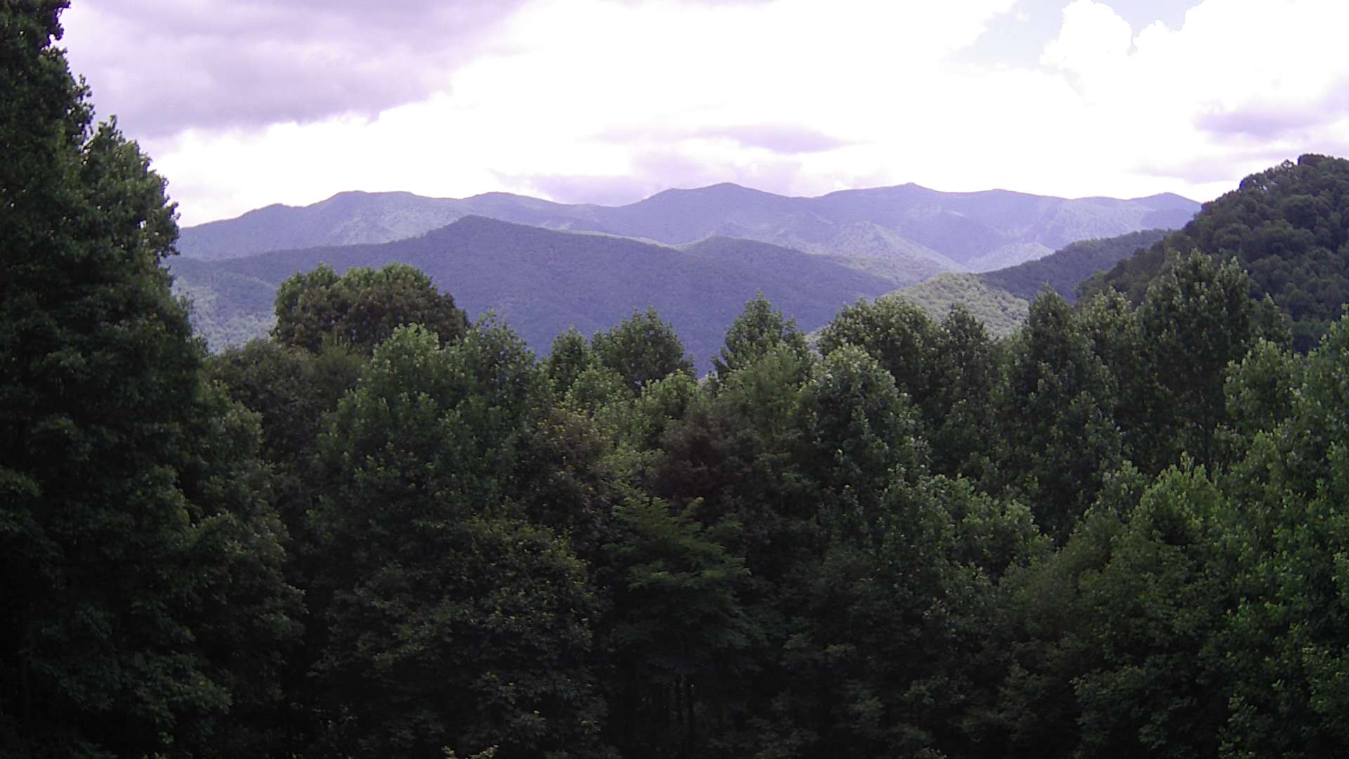 click for next image... slideshow image