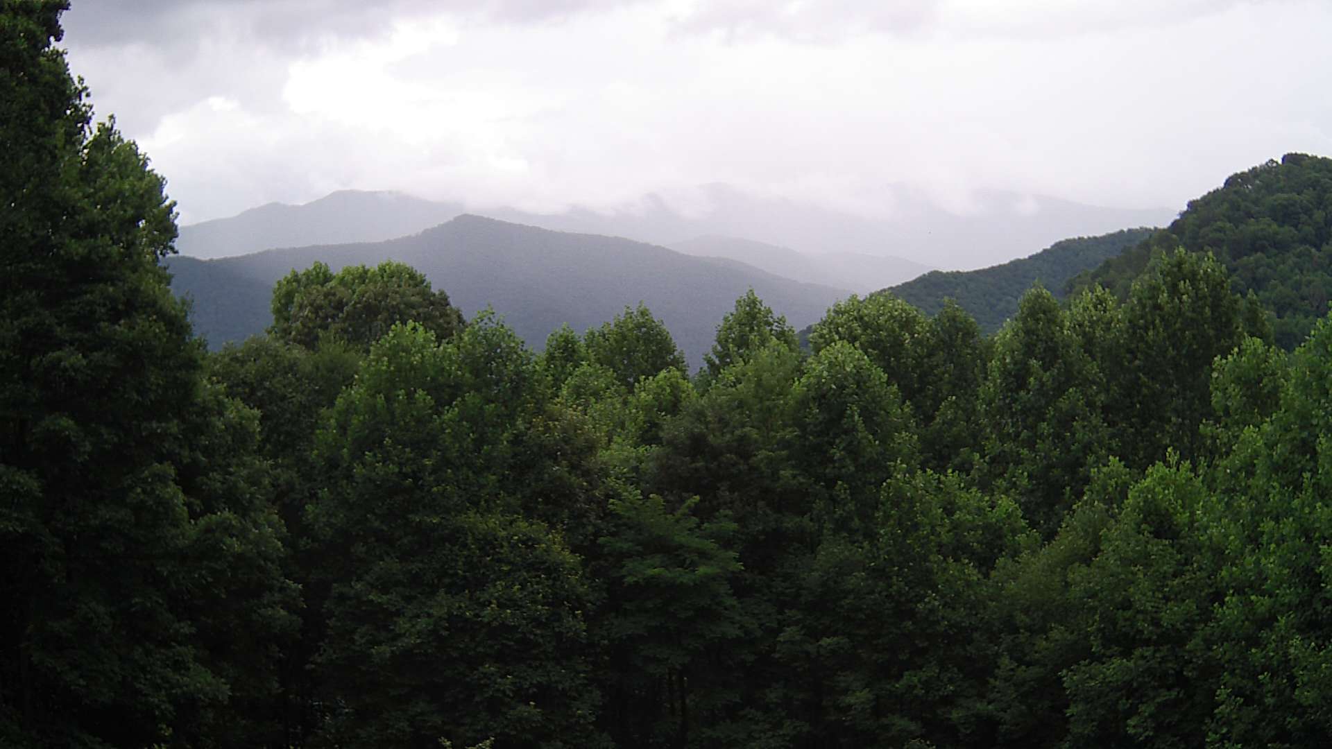 click for next image... slideshow image