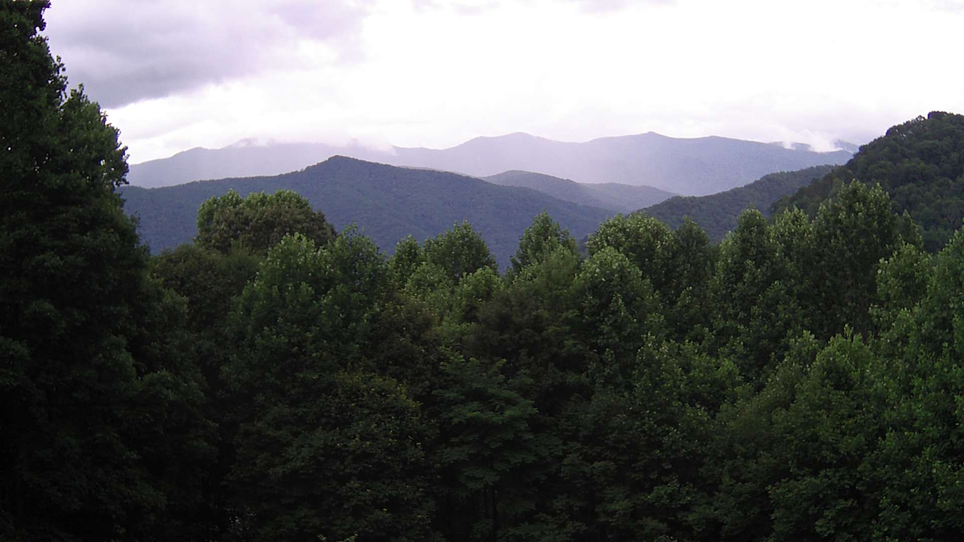 click for next image... slideshow image