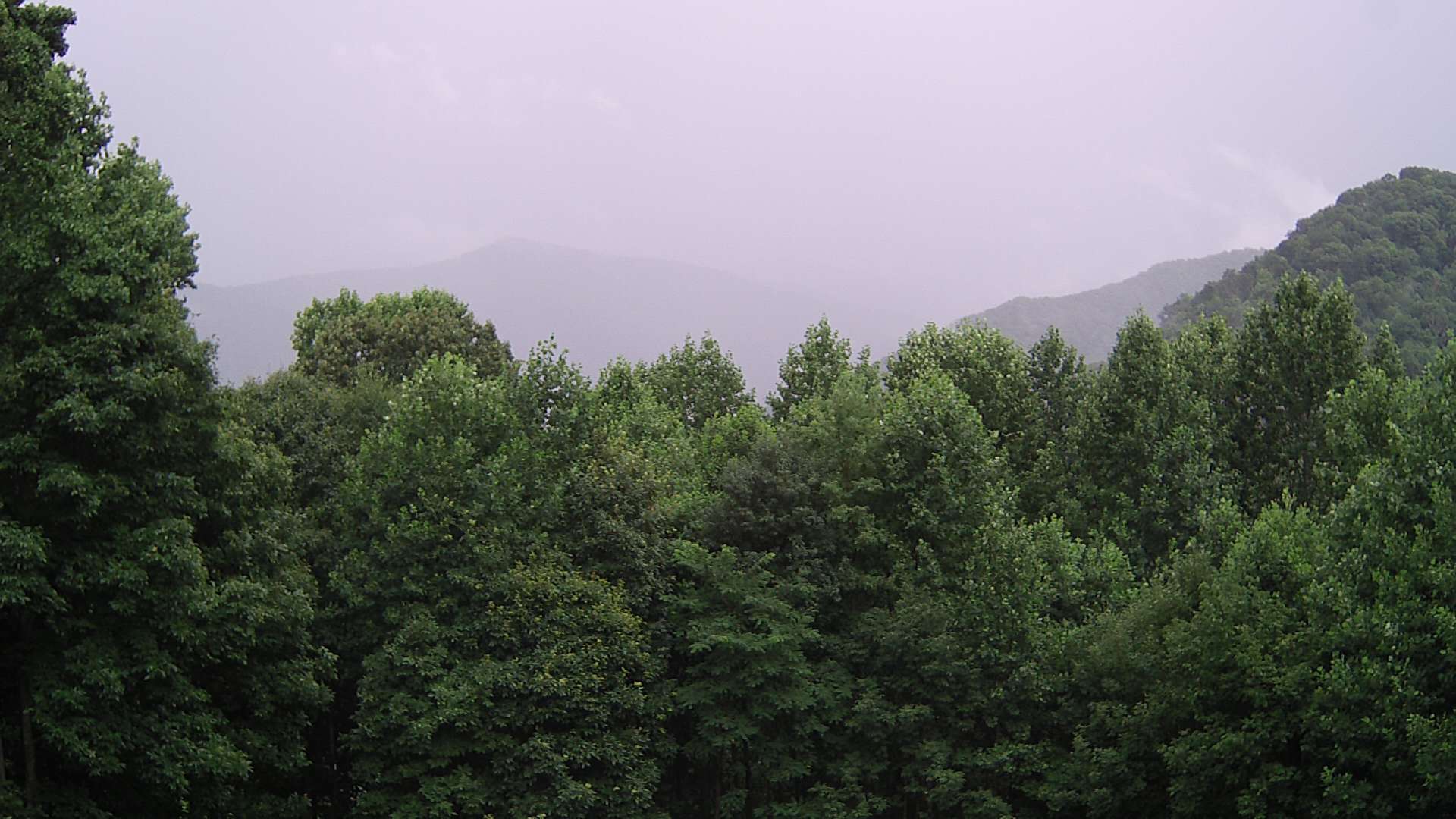 click for next image... slideshow image