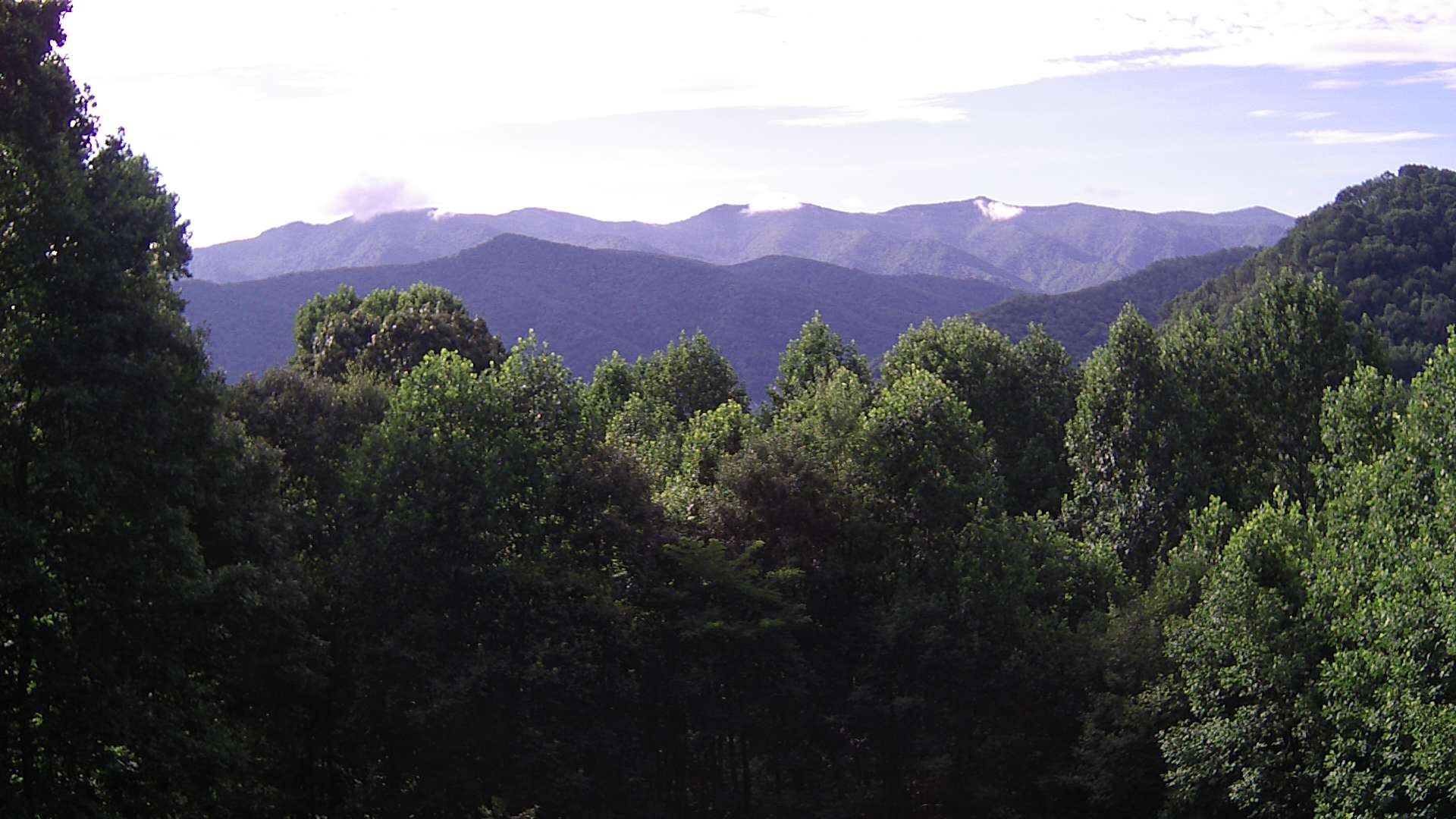 click for next image... slideshow image