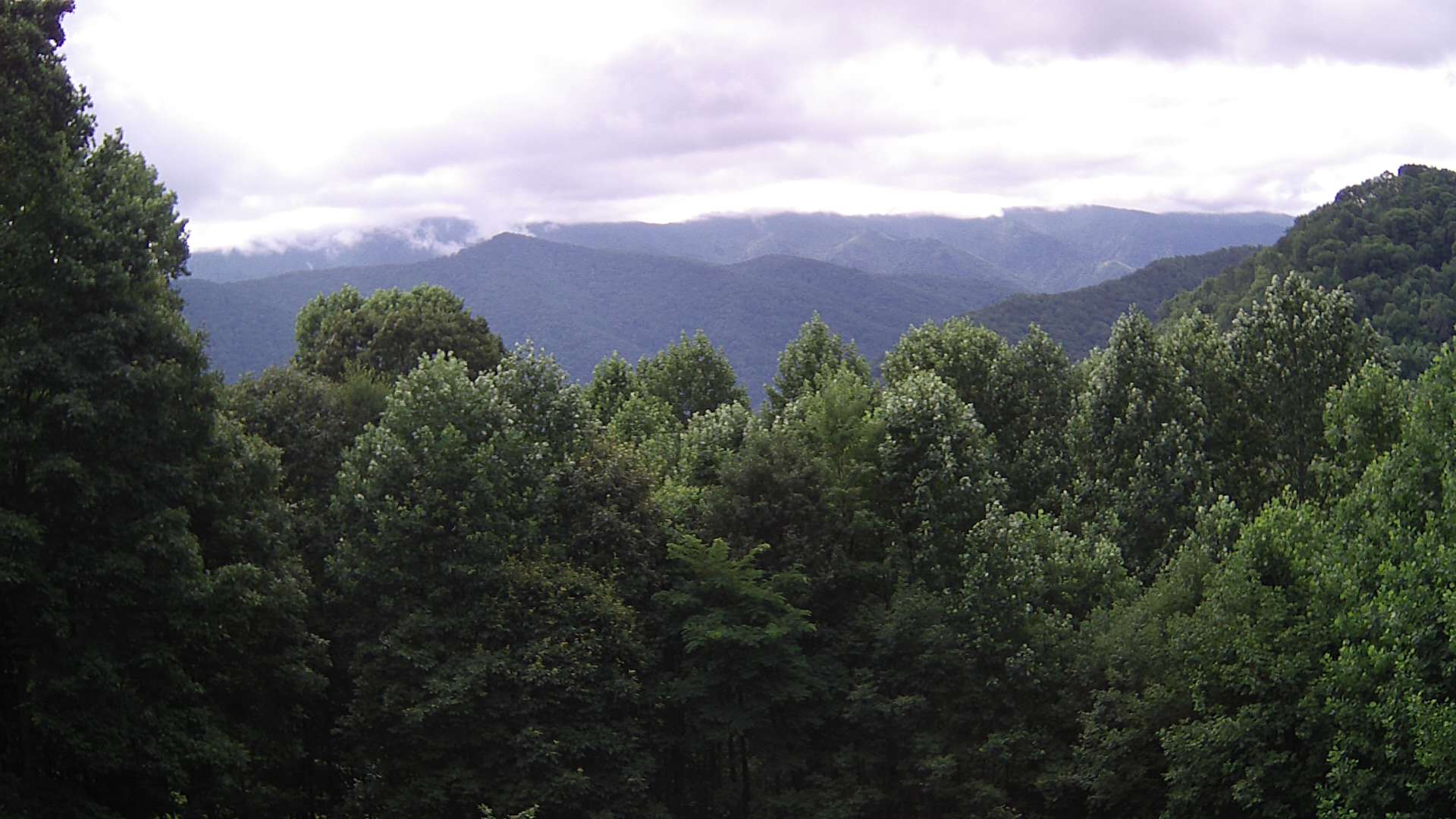click for next image... slideshow image
