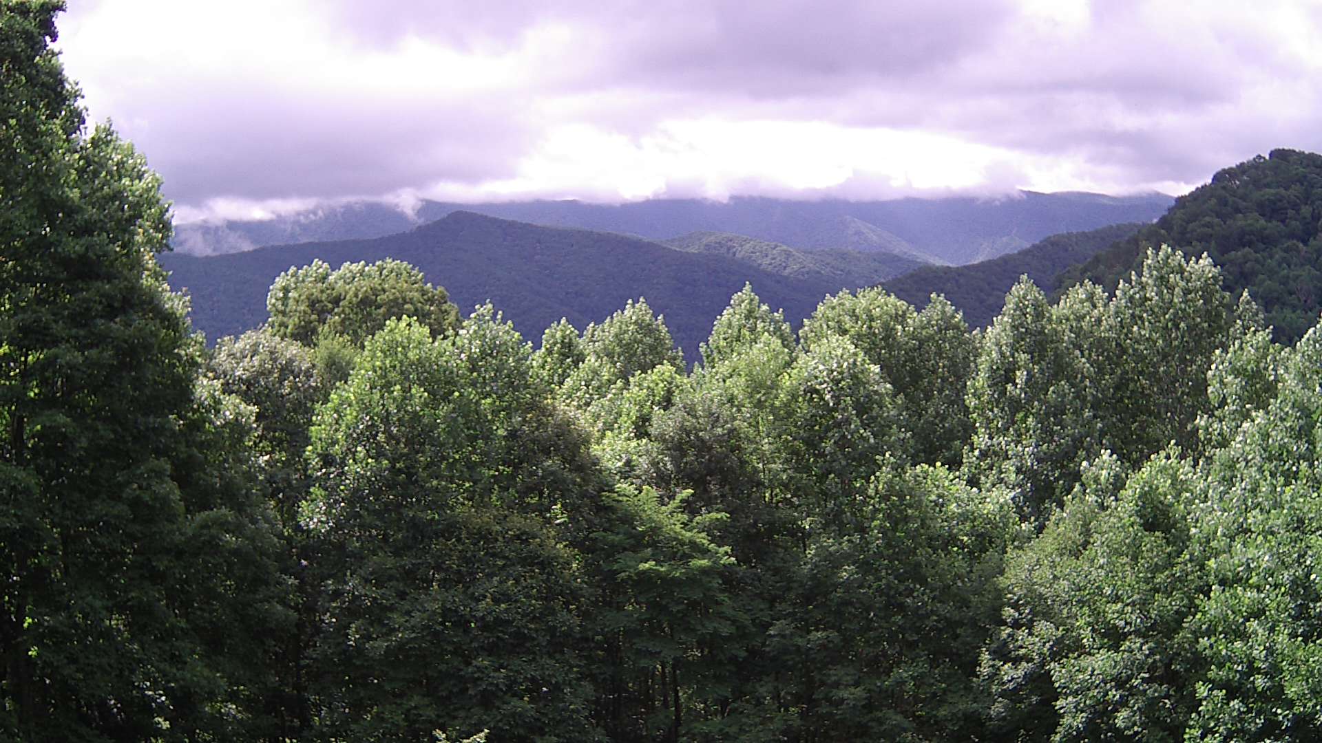 click for next image... slideshow image