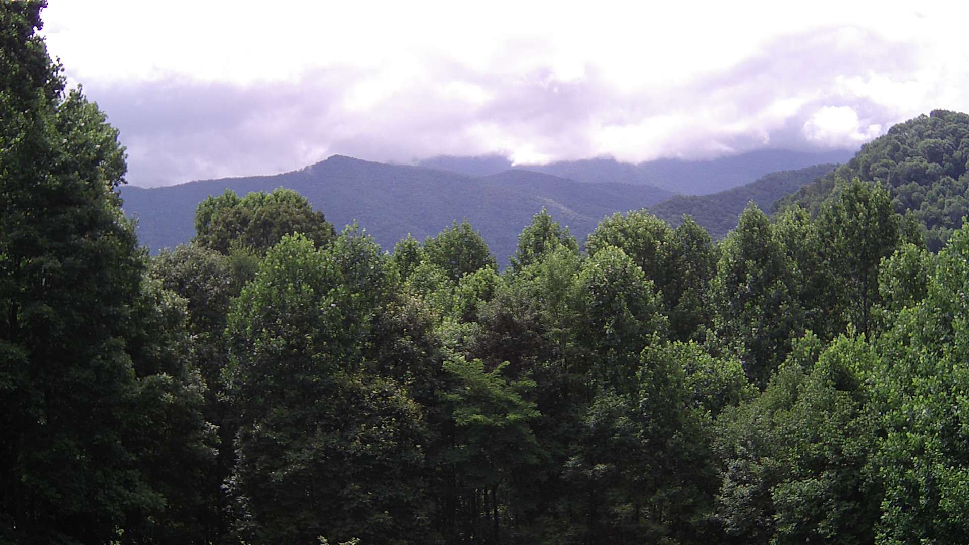click for next image... slideshow image