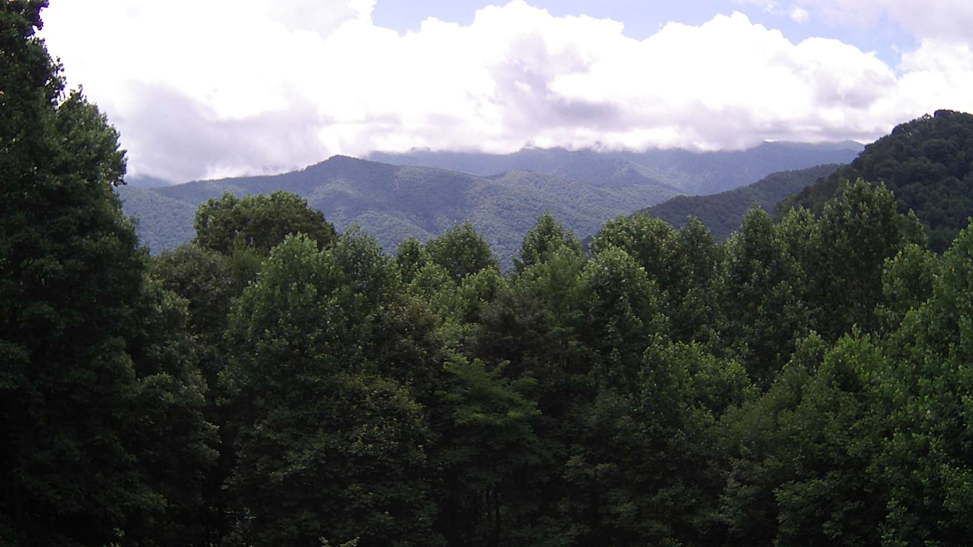 click for next image... slideshow image