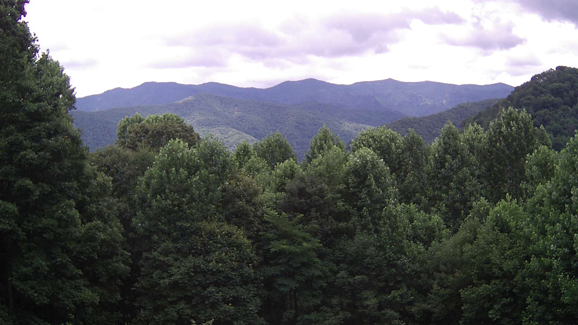 click for next image... slideshow image