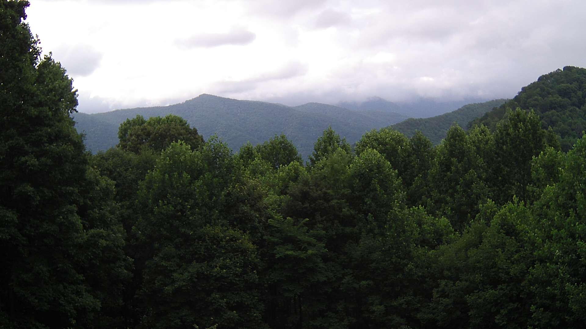 click for next image... slideshow image
