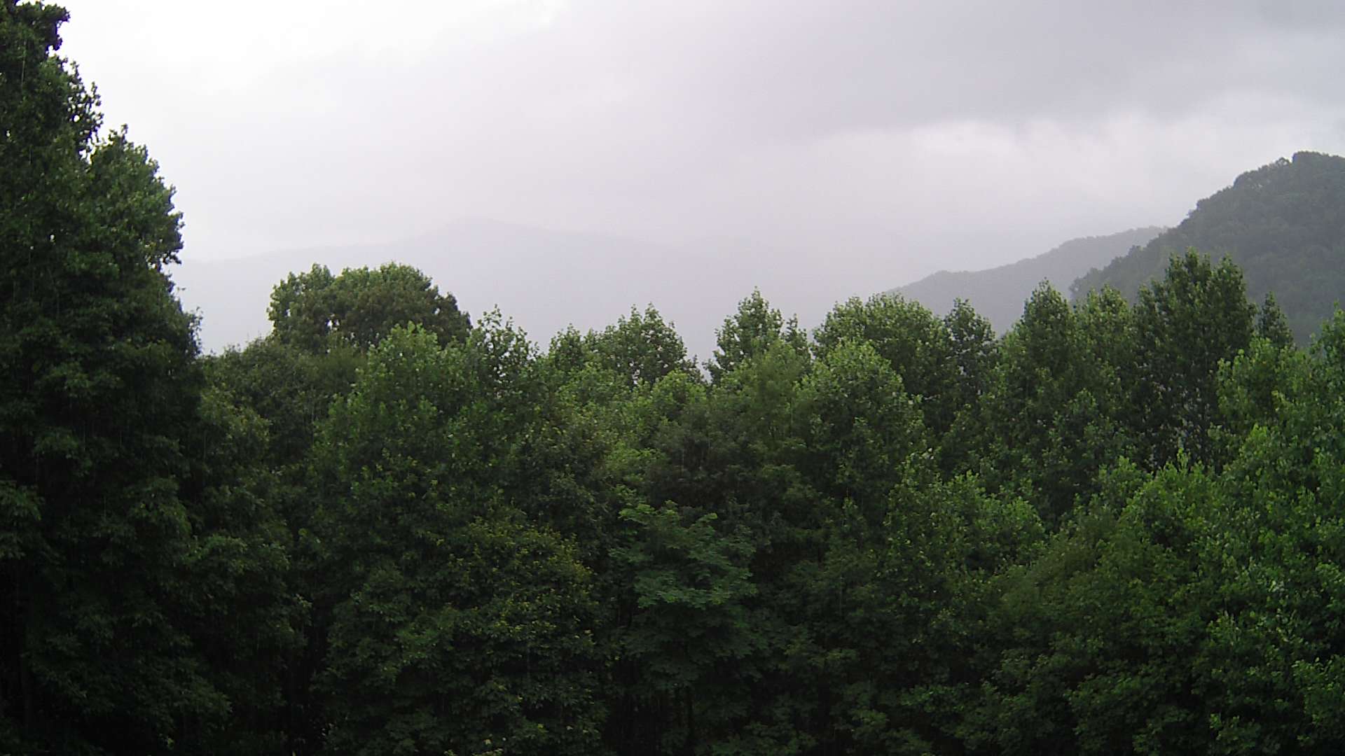 click for next image... slideshow image