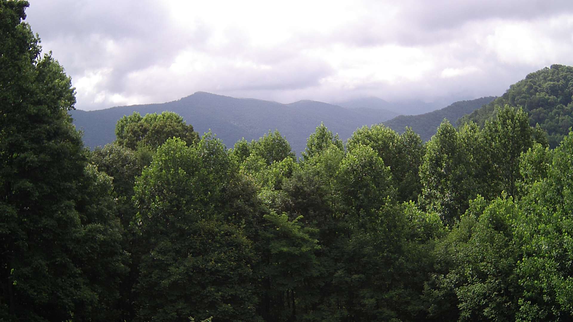 click for next image... slideshow image