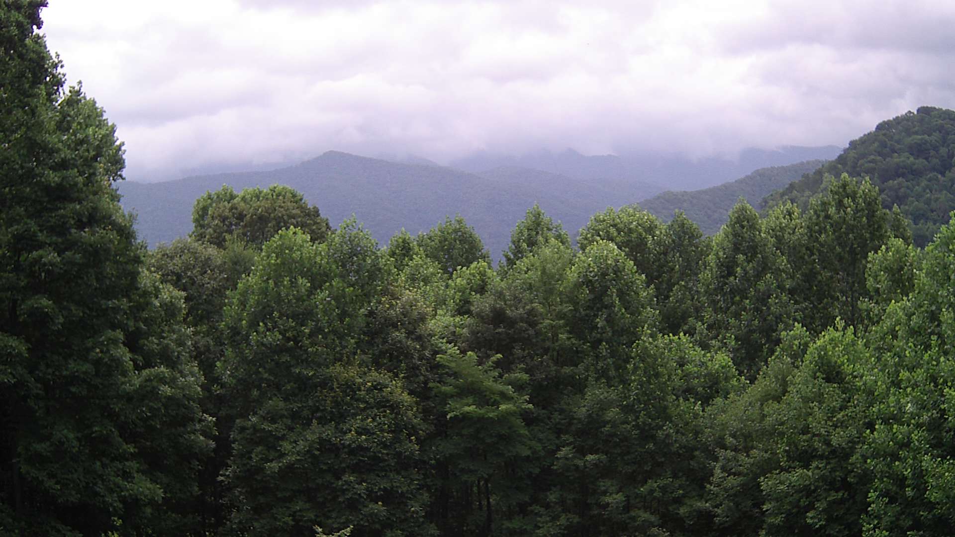 click for next image... slideshow image