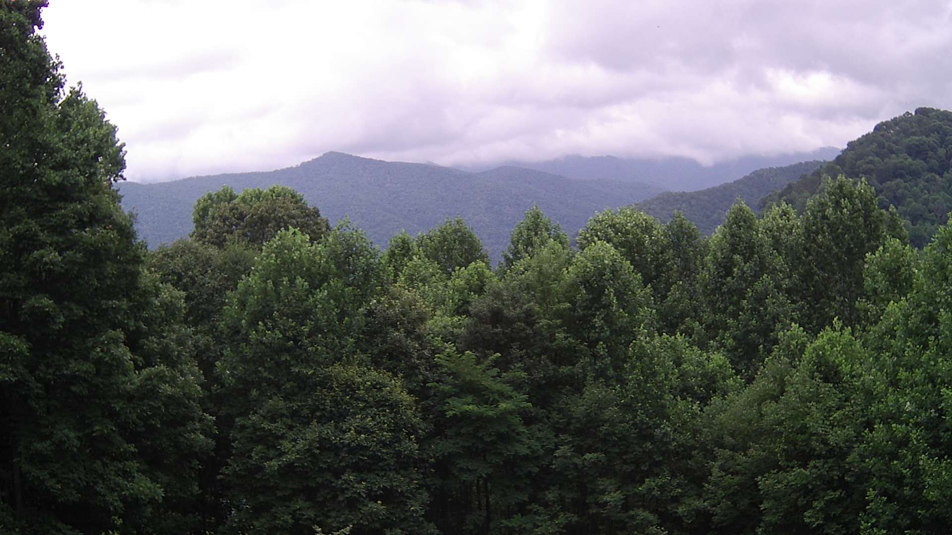 click for next image... slideshow image
