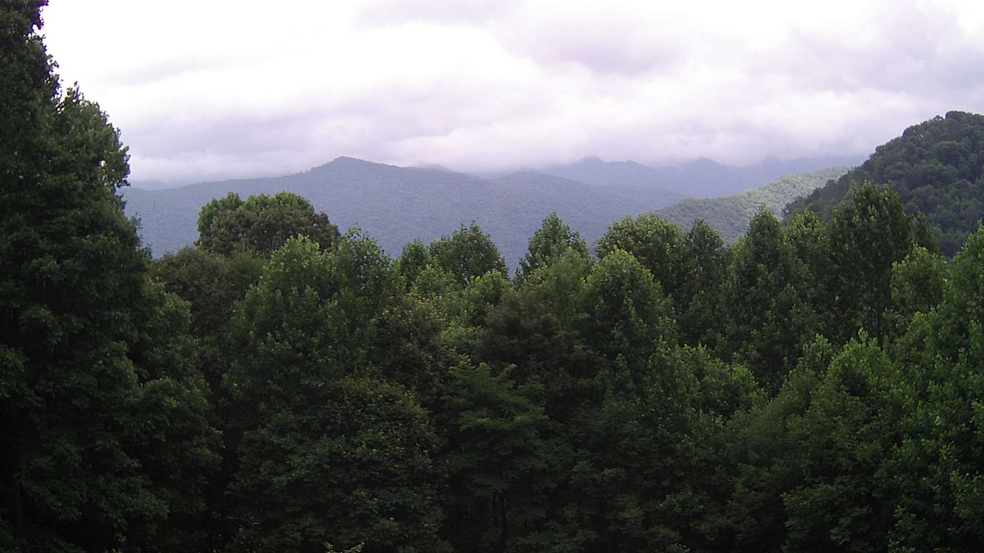 click for next image... slideshow image