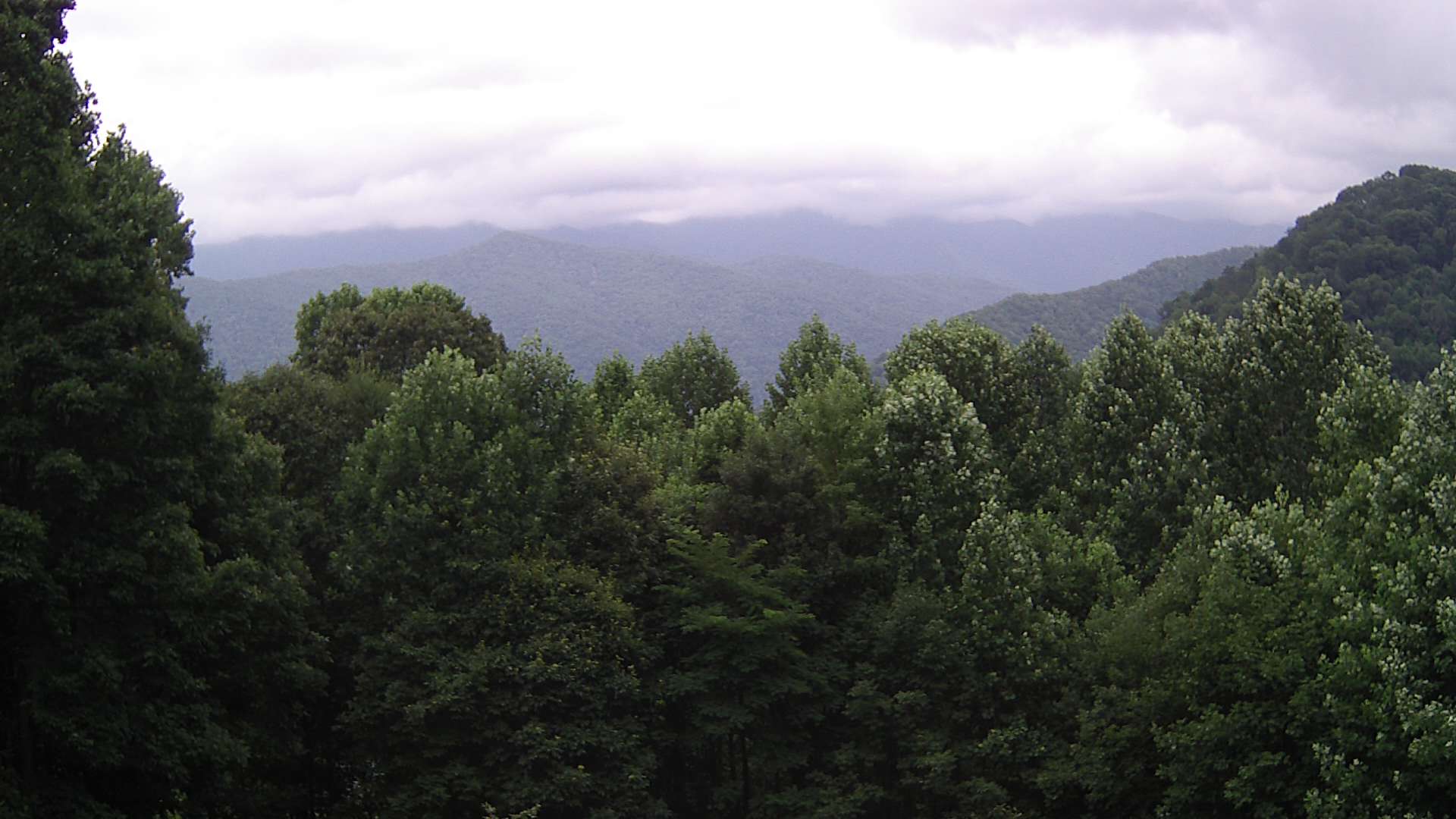 click for next image... slideshow image