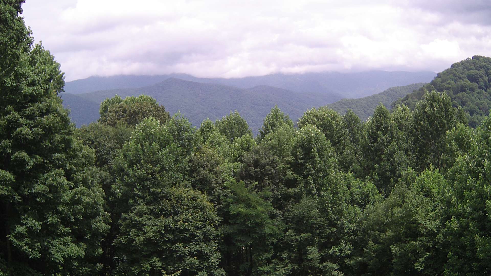 click for next image... slideshow image