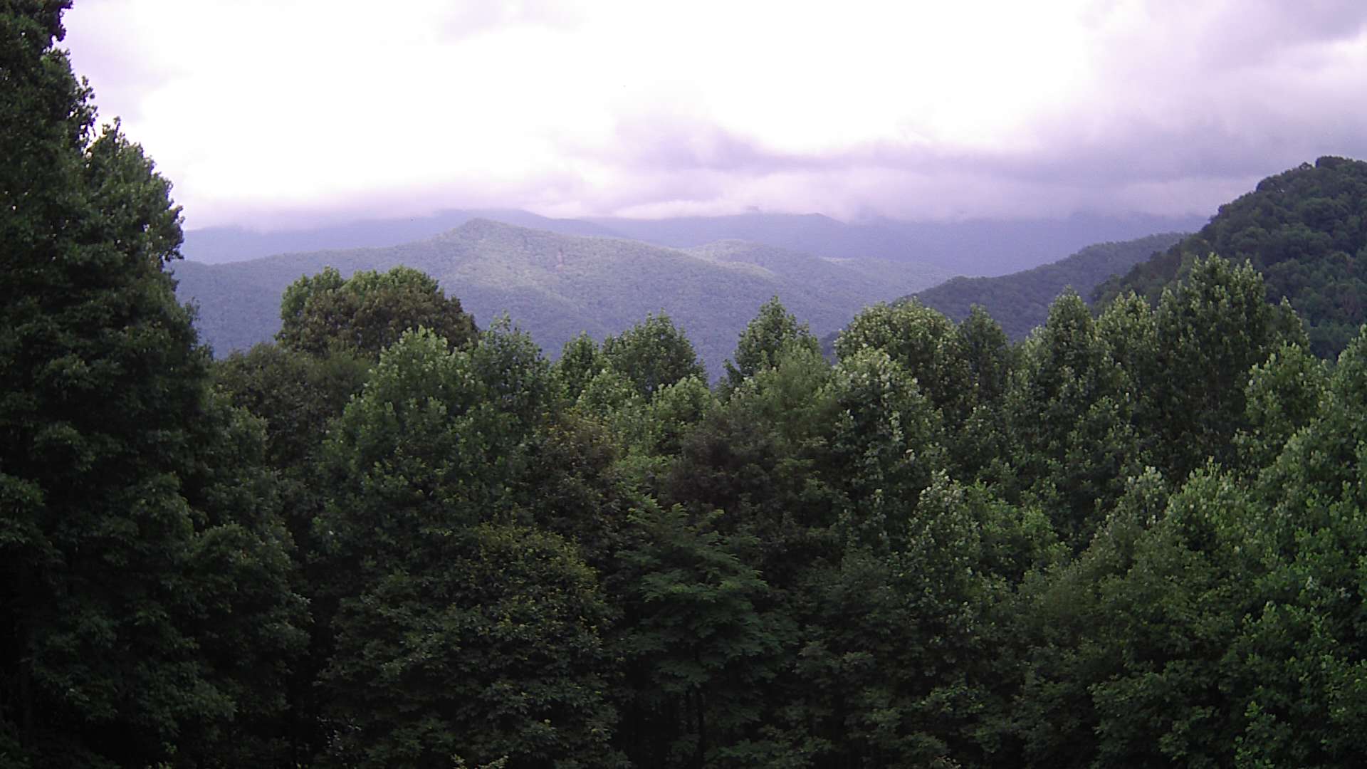 click for next image... slideshow image