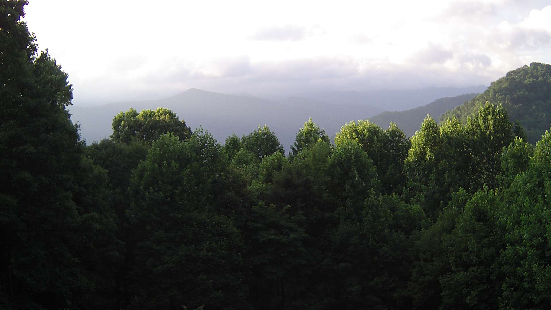 click for next image... slideshow image
