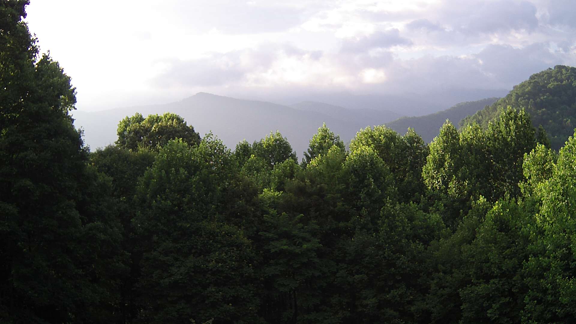 click for next image... slideshow image
