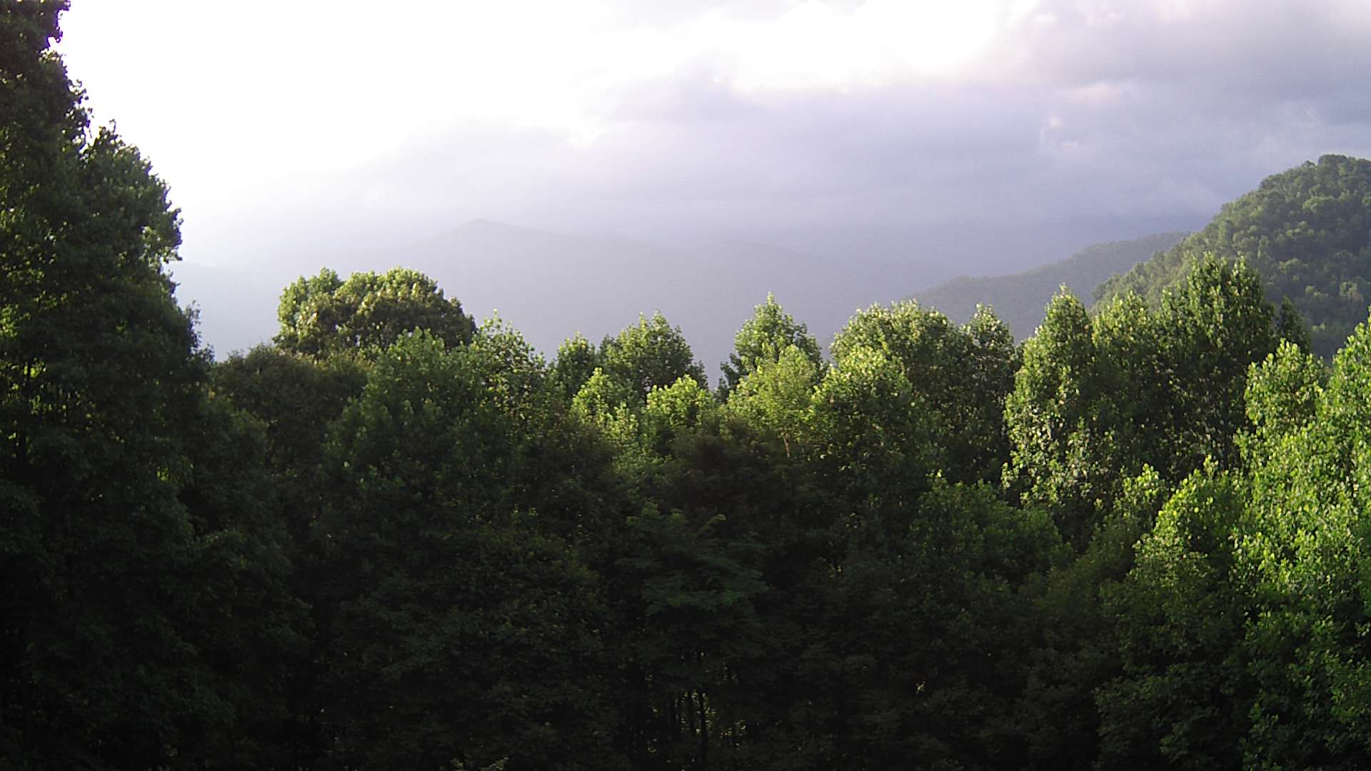 click for next image... slideshow image