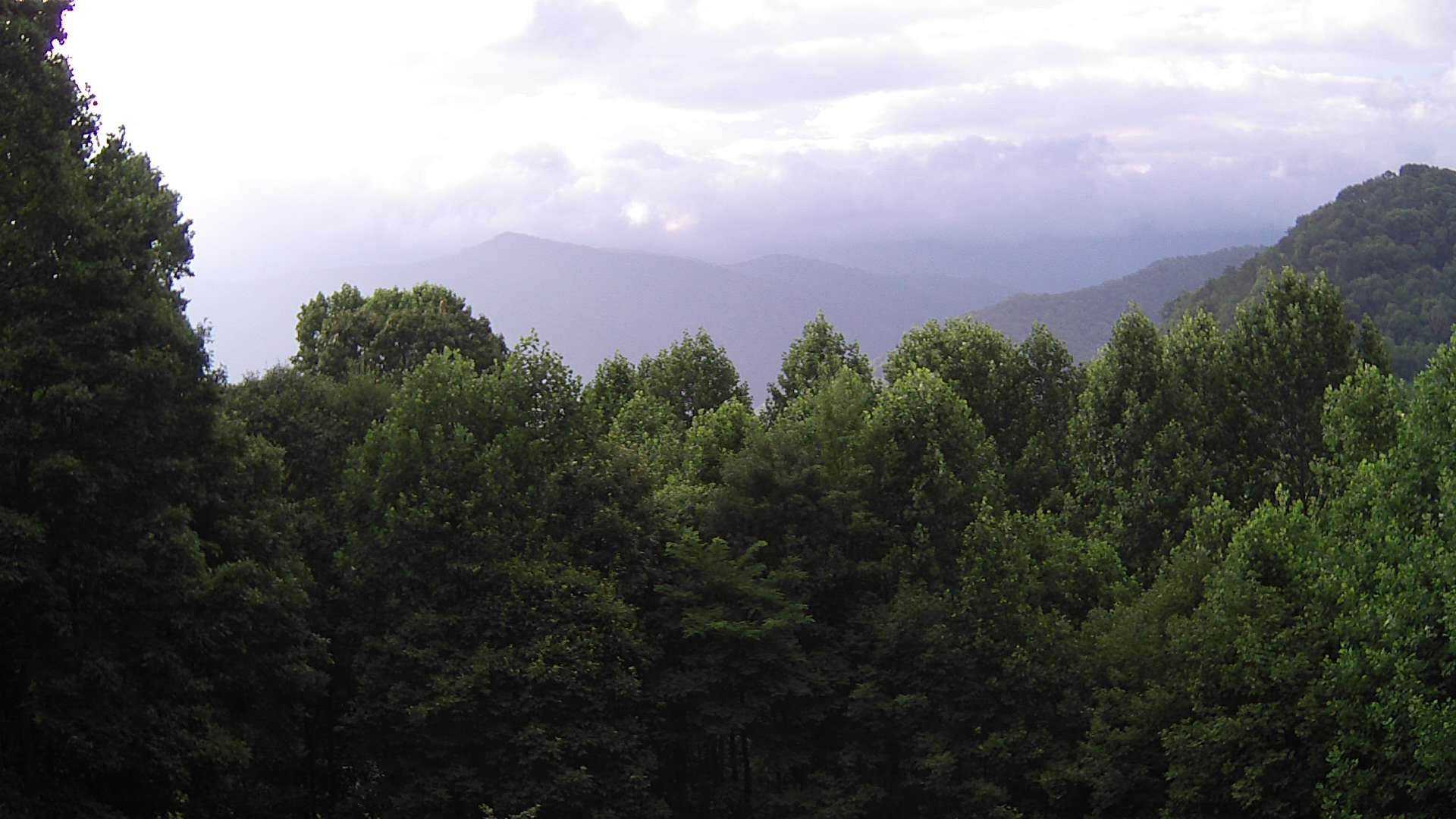 click for next image... slideshow image