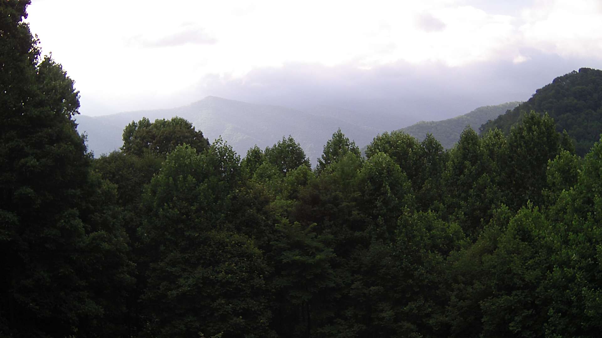 click for next image... slideshow image