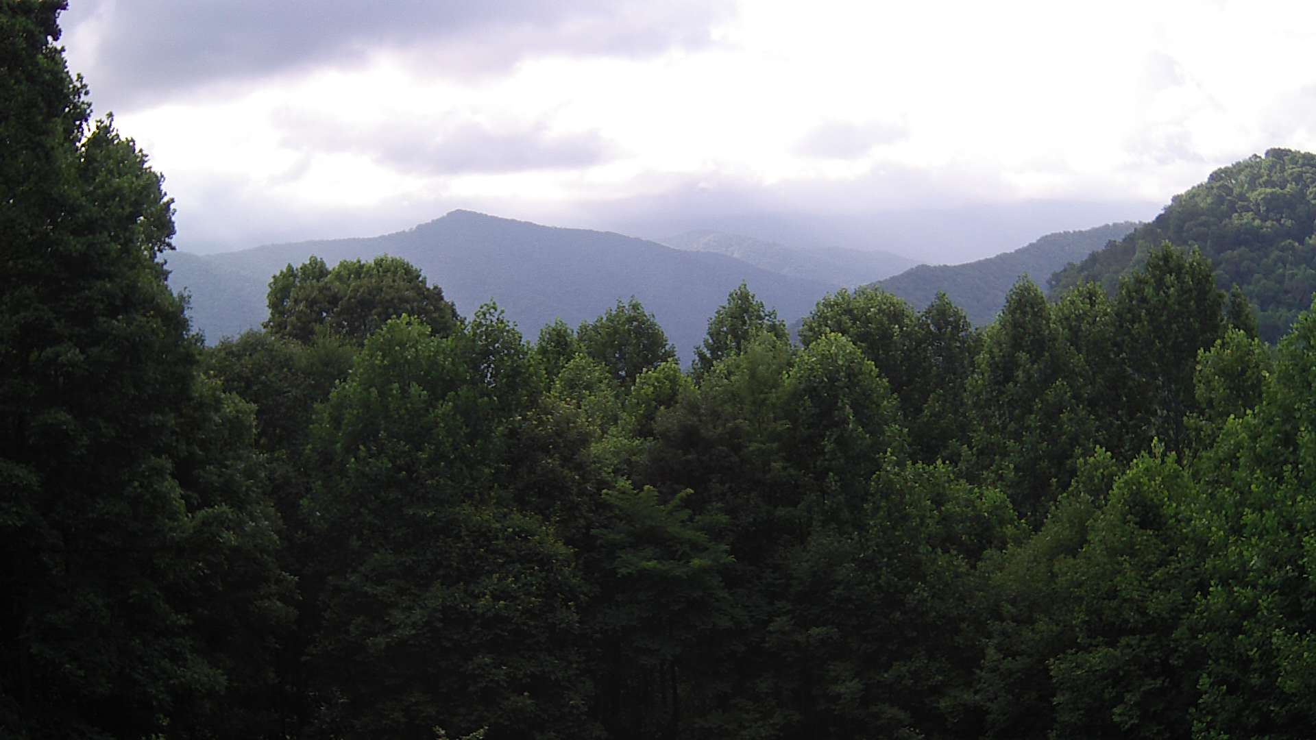 click for next image... slideshow image