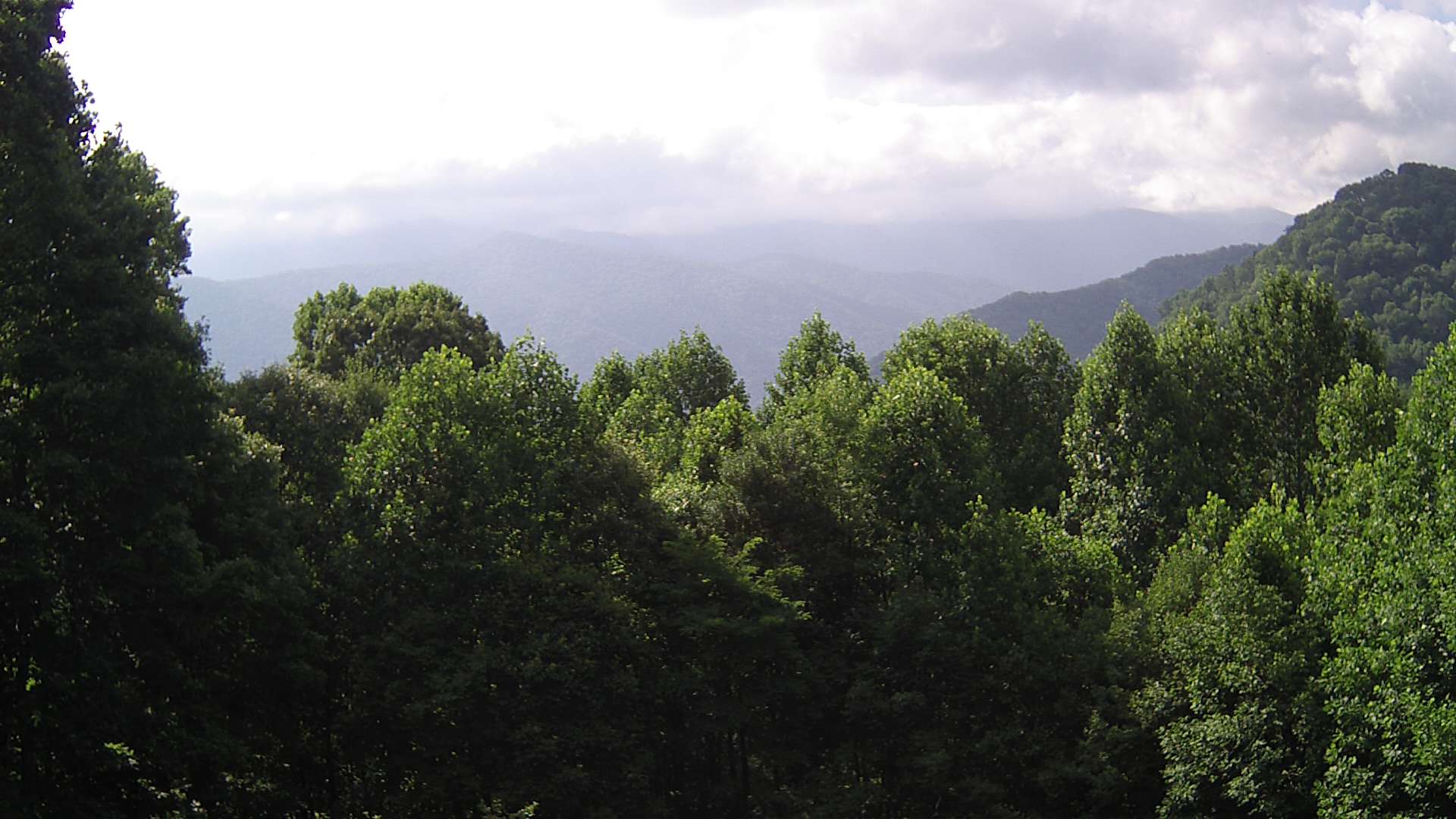 click for next image... slideshow image