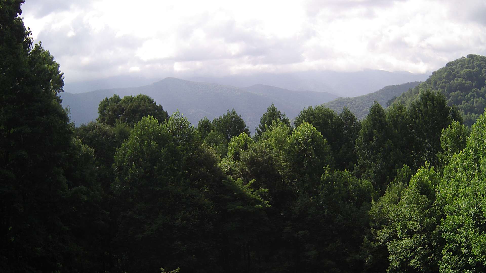 click for next image... slideshow image